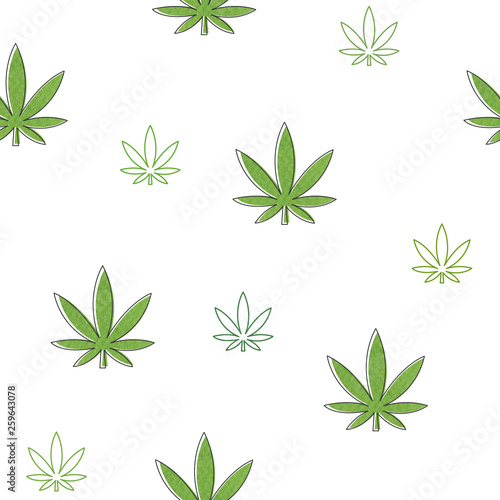 Cannabis green leaf with white background.