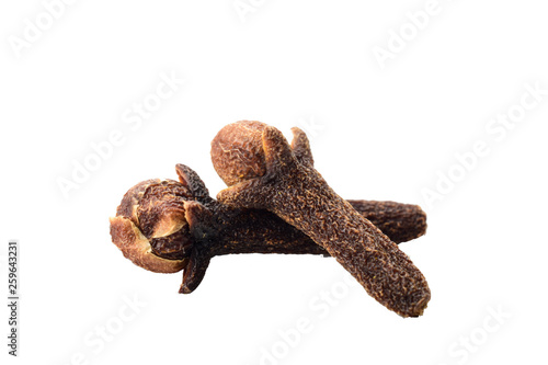 clove isolated on white background