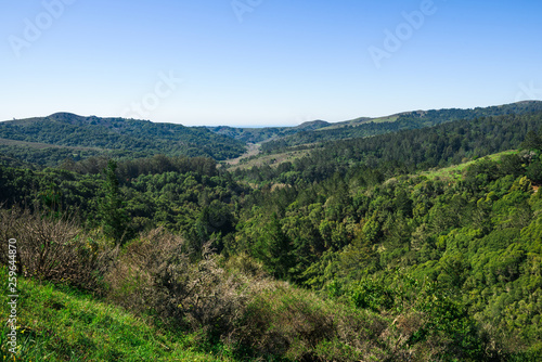 Forest mointains with clear blue sky