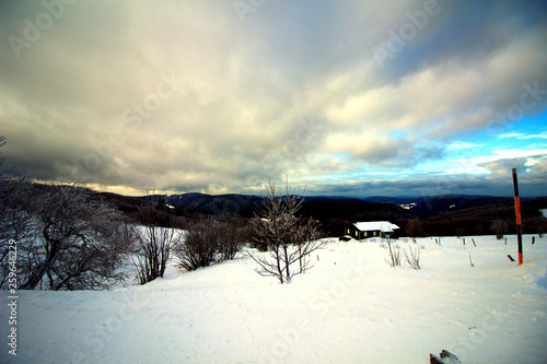 Wallpaper Mural vue sur les montagnes enneigées des Vosges depuis le sommet du hohneck Torontodigital.ca