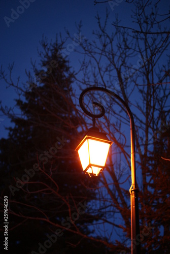 SONY DSC