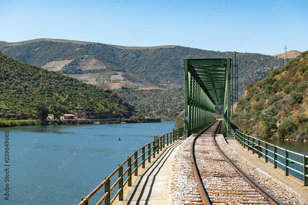 Obraz premium Douro valley view near the Ferradosa bridge