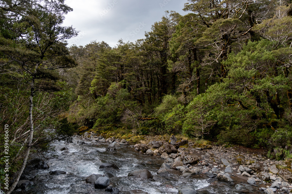 Wairere stream river in Tongariro National Park in New Zealand Wairere stream river in Tongariro National Park in New Zealand