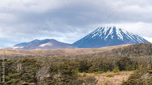 Clouds Covering the Top of Mount Ngauruhoe in Tongariro National Park in New Zealand