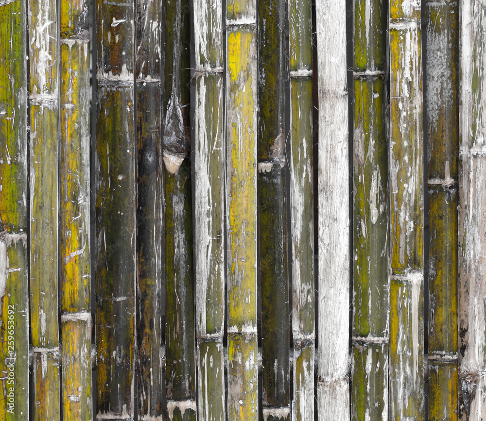 Obraz premium Old bamboo wall