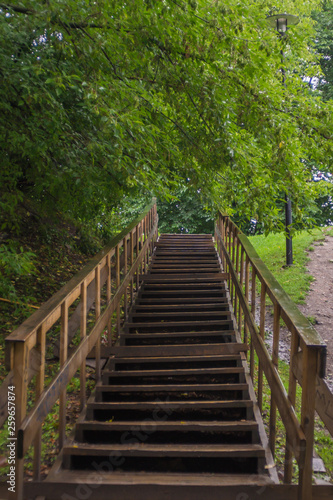 Wooden ladder in the park