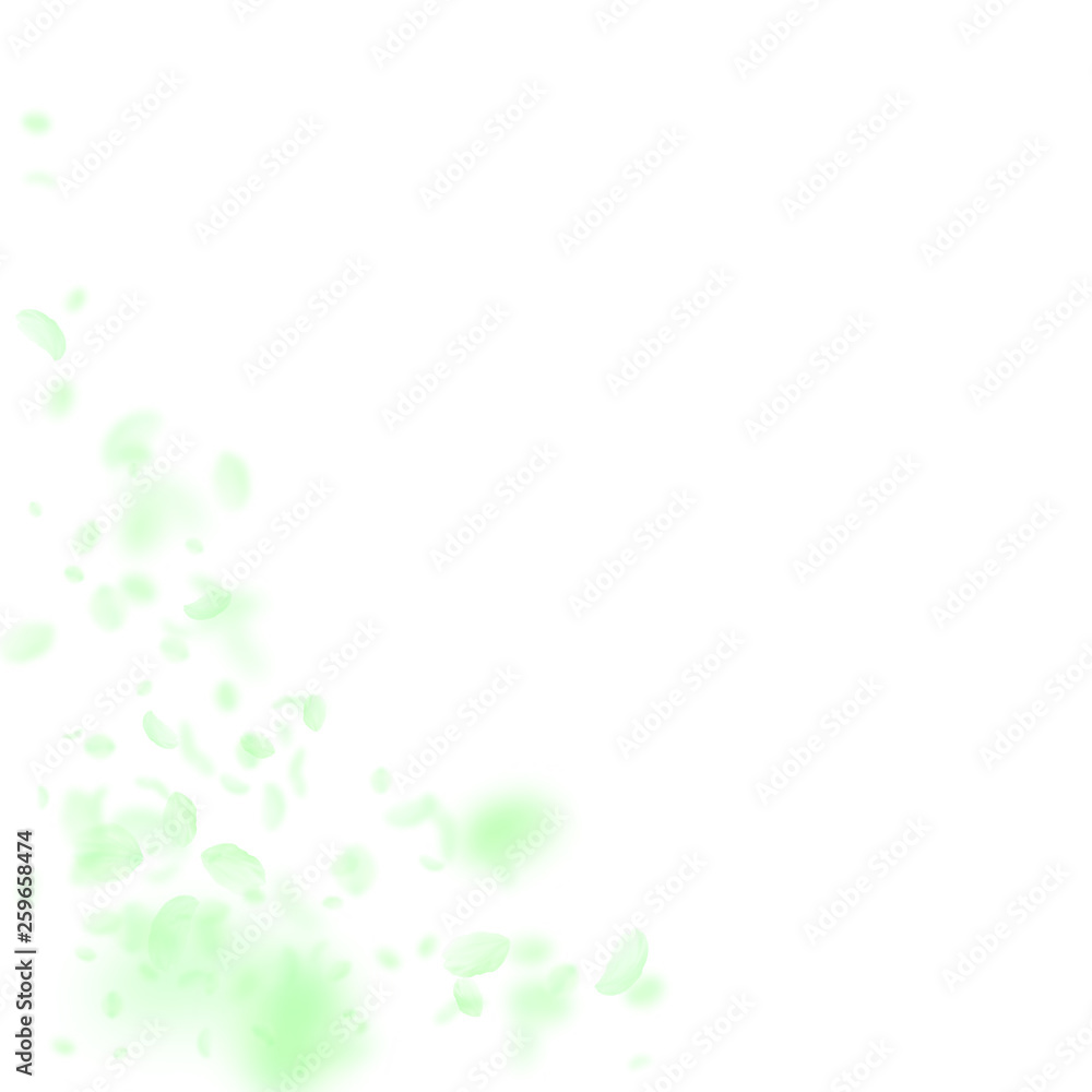 Green flower petals falling down. Bewitching roman Green flower petals falling down. Bewitching roman