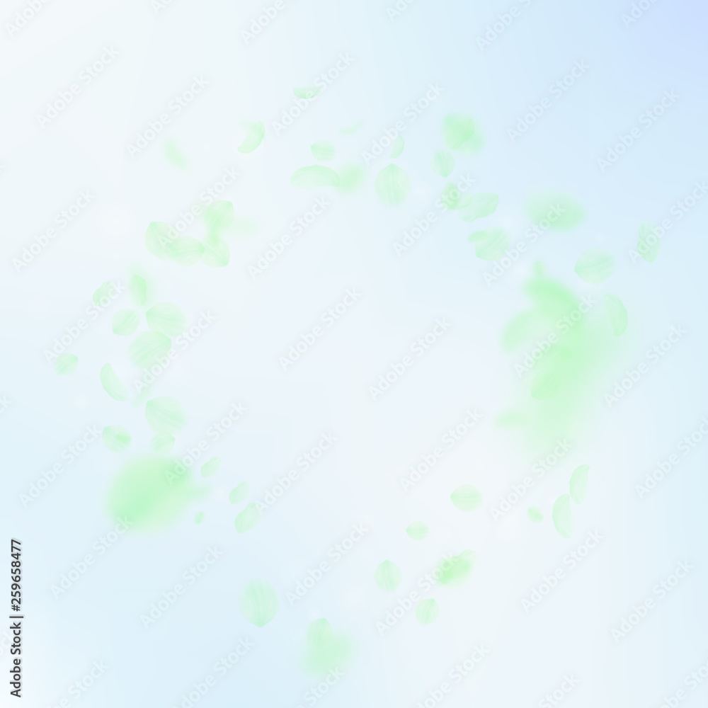 Green flower petals falling down. Brilliant romant Green flower petals falling down. Brilliant romant