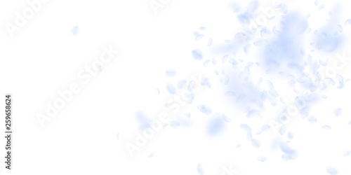 Light blue flower petals falling down. Optimal rom