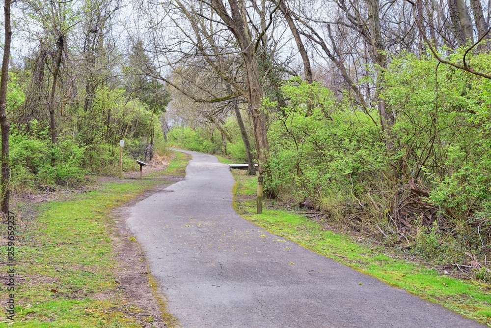 Views of Nature and Pathways along the Shelby Bottoms Greenway and Natural Area Cumberland River frontage trails, bottomland hardwood forests, open fields, wetlands, and streams, Nashville, Tennessee.