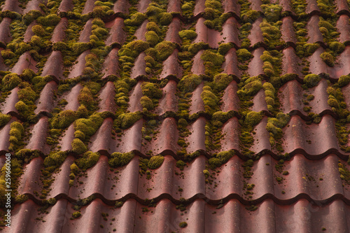 Red tile roof texture background. roof overgrown with moss