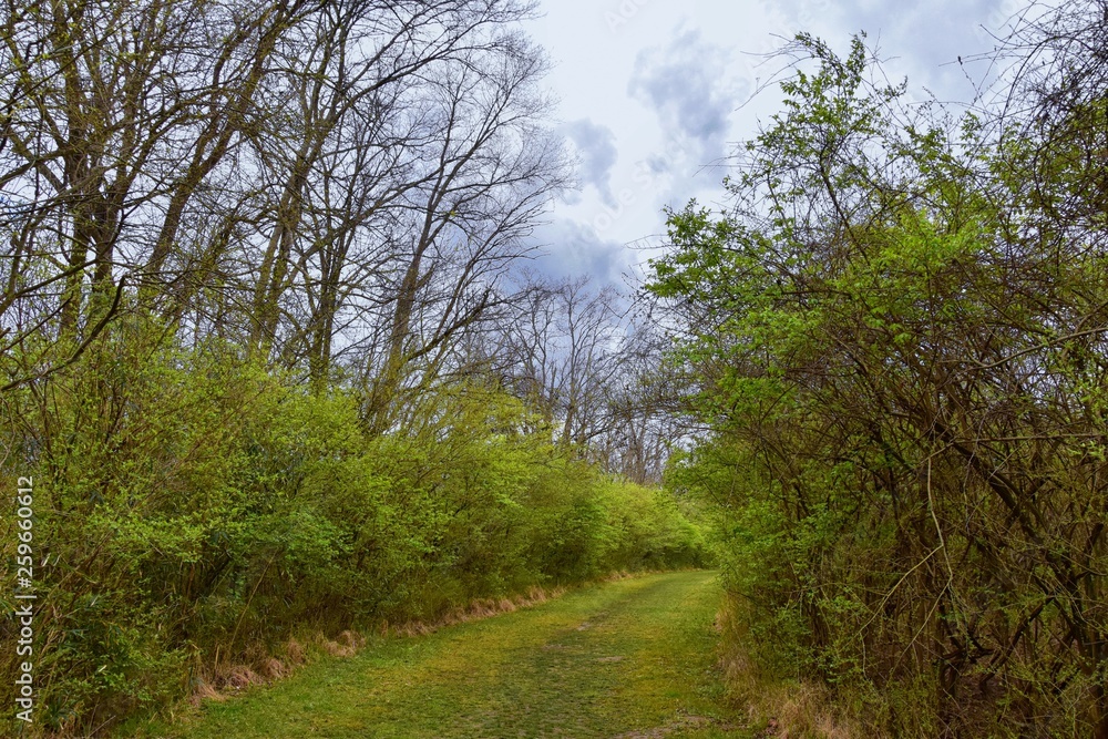 Views of Nature and Pathways along the Shelby Bottoms Greenway and Natural Area Cumberland River frontage trails, bottomland hardwood forests, open fields, wetlands, and streams, Nashville, Tennessee. Views of Nature and Pathways along the Shelby Bottoms Greenway and Natural Area Cumberland River frontage trails, bottomland hardwood forests, open fields, wetlands, and streams, Nashville, Tennessee.