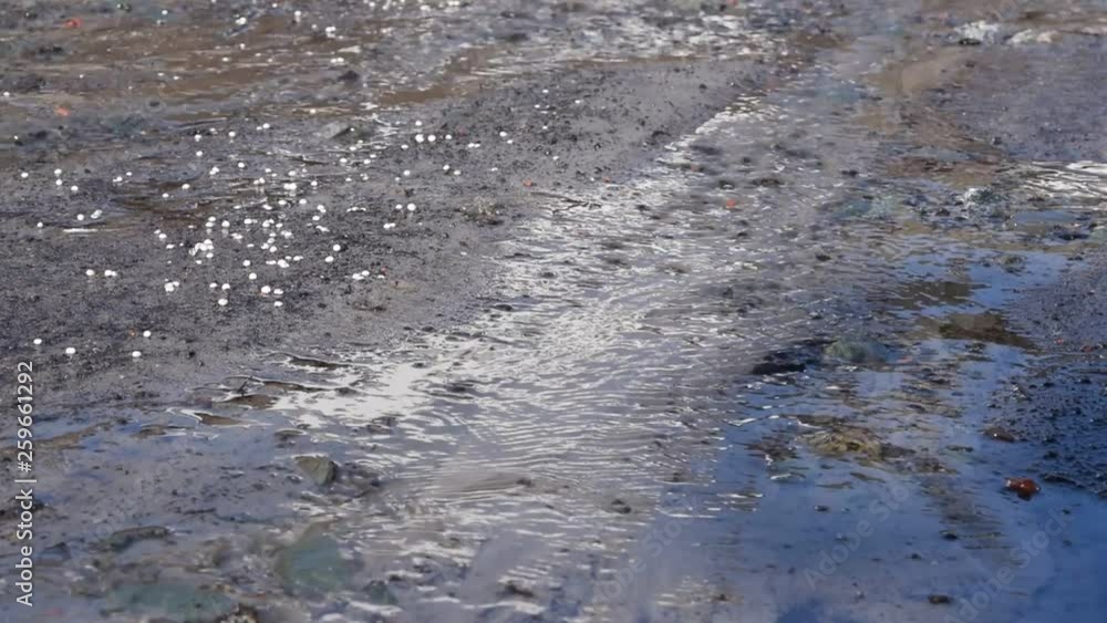 Spring muddy streams run along the road from the melting snow, spring landscape Spring muddy streams run along the road from the melting snow, spring landscape