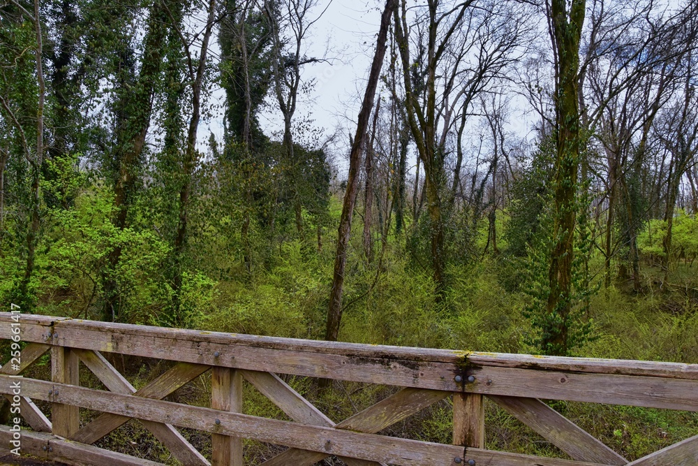 Views of Nature and Pathways along the Shelby Bottoms Greenway and Natural Area Cumberland River frontage trails, bottomland hardwood forests, open fields, wetlands, and streams, Nashville, Tennessee. Views of Nature and Pathways along the Shelby Bottoms Greenway and Natural Area Cumberland River frontage trails, bottomland hardwood forests, open fields, wetlands, and streams, Nashville, Tennessee.