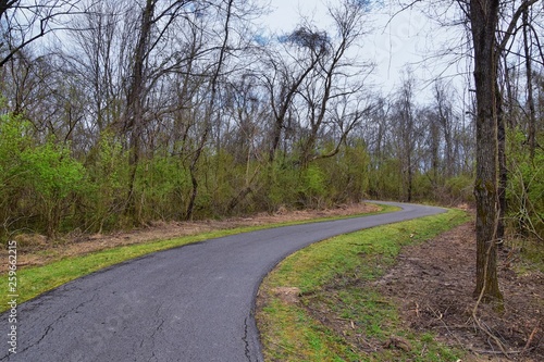 Wallpaper Mural Views of Nature and Pathways along the Shelby Bottoms Greenway and Natural Area Cumberland River frontage trails, bottomland hardwood forests, open fields, wetlands, and streams, Nashville, Tennessee. Torontodigital.ca