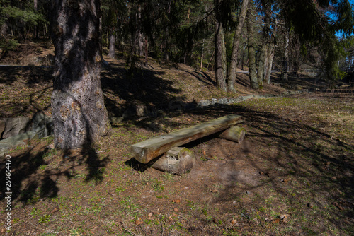 A bench in a spring forest in stockholm