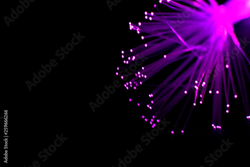 Fiber optics cable isolated on black background
