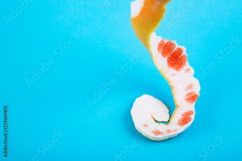 Foto Grapefruit  peel abstract concept.