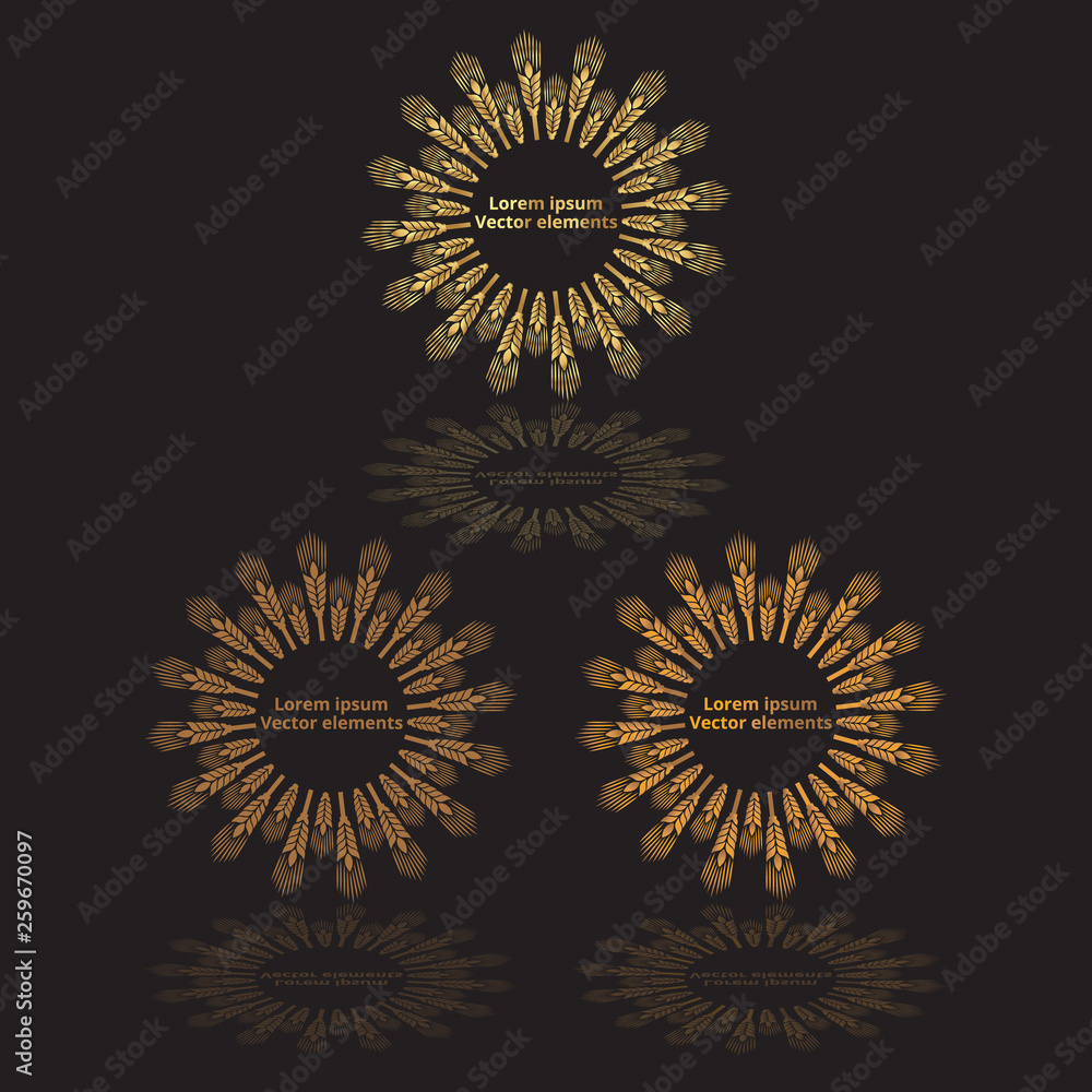 Fototapeta premium Wheat ears, oats or barley three vector logotypes set golden on black