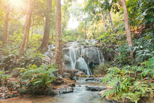 Fototapeta Naklejka Na Ścianę i Meble -  The beauty of the waterfall,water stream Pu Kang In Doi Luang National Park Chiang Rai Province in the north in Thailand