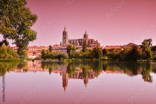 Beautiful landscape with famous Salamanca cathedral in Spain