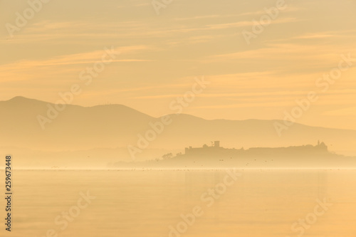 Beautiful view of Trasimeno lake at sunset with birds on water and Castiglione del Lago town