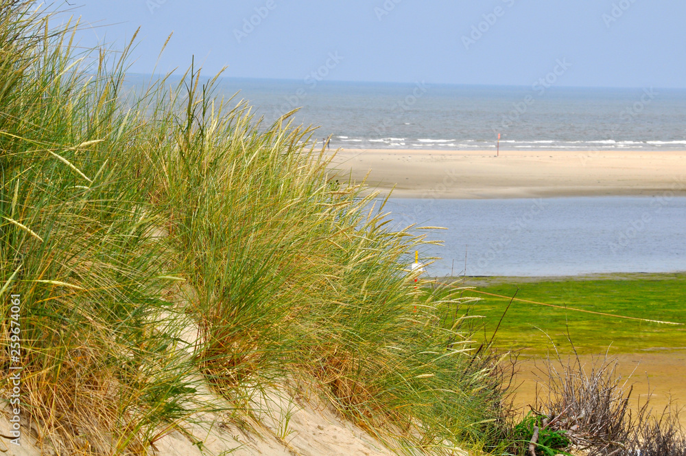 custom made wallpaper toronto digitalBeach