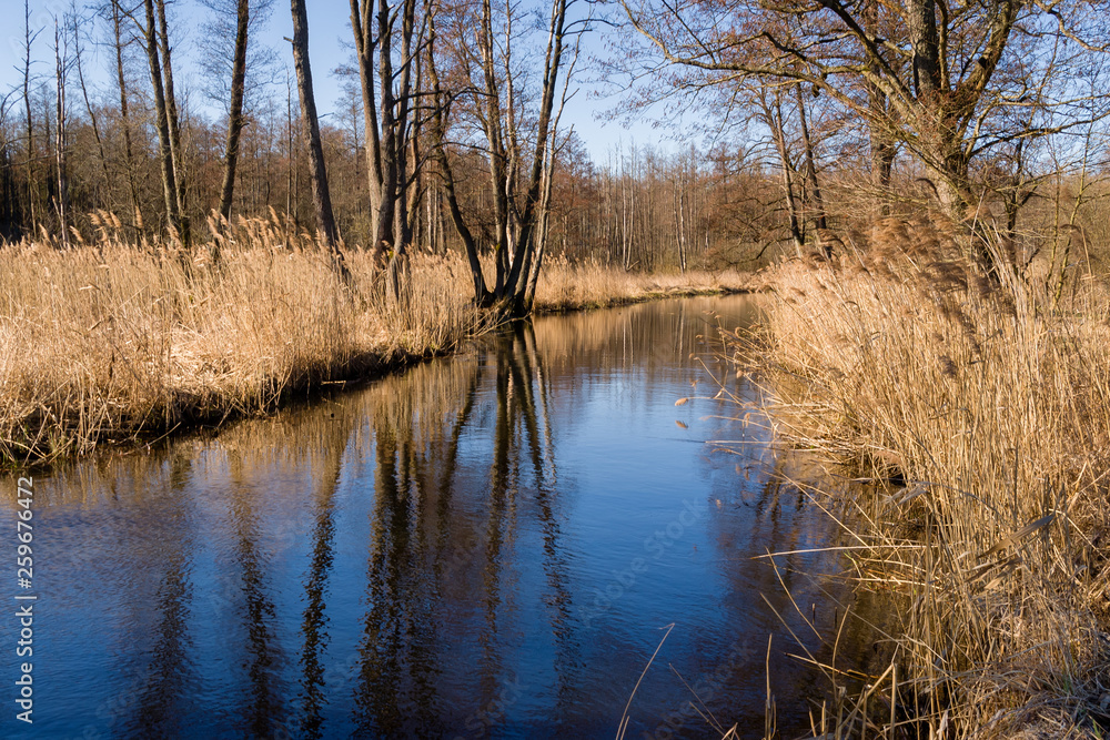 Dolina rzeki Supraśl, Puszcza Knyszyńska, Wiosna na Podlasiu Dolina rzeki Supraśl, Puszcza Knyszyńska, Wiosna na Podlasiu