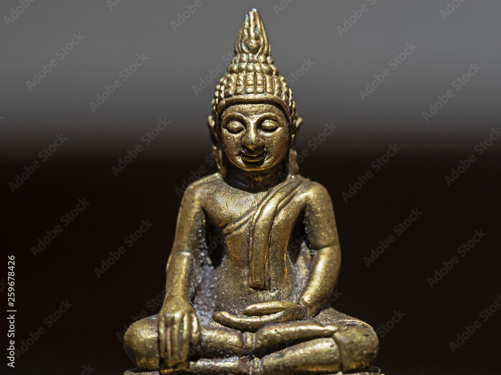 Close-up photography of a small buddha statue.