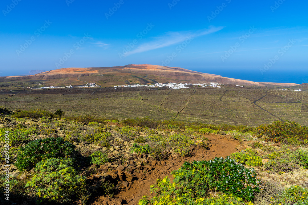 Naklejka premium Spain, Lanzarote, Green cactus and winegrowing fields of terraces of village ye from volcano corona