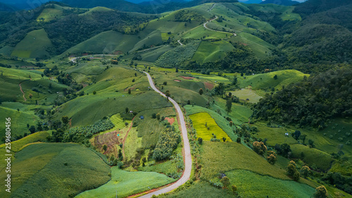 Aerial view  Corn growing area
