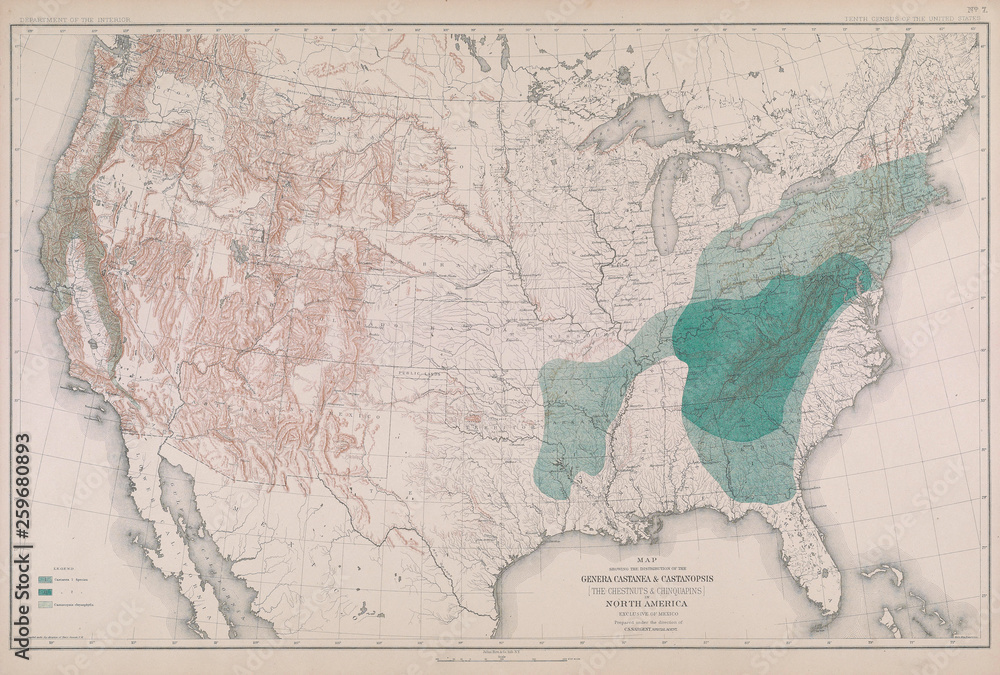 Naklejka premium Forest map of America.