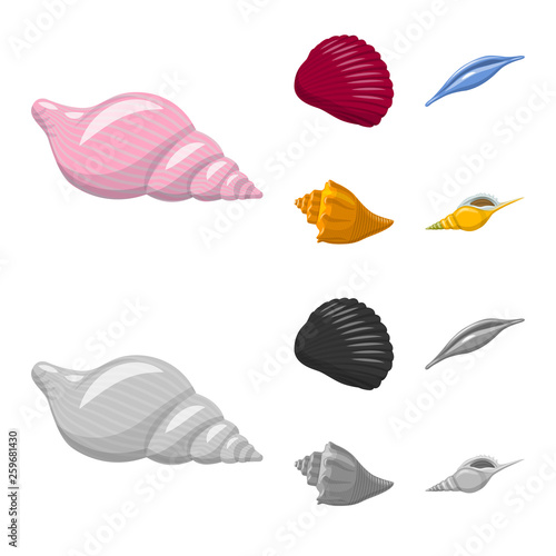 set of shells