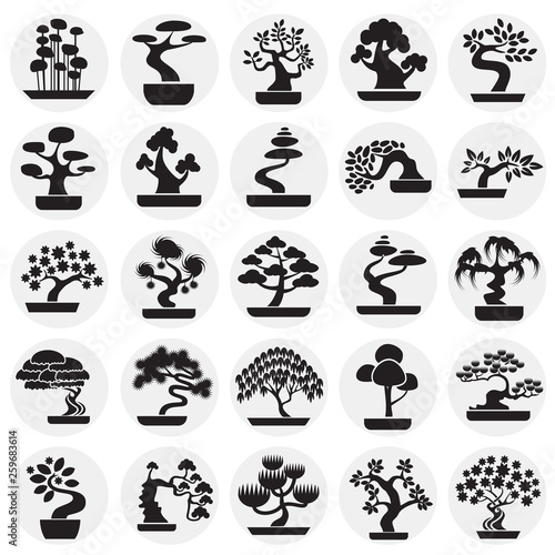 Bonsai icons set on circles background for graphic and web design. Simple vector sign. Internet concept symbol for website button or mobile app.