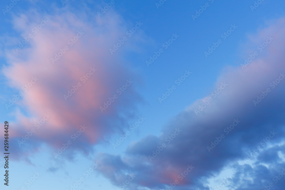 Obraz premium 朝焼けの雲