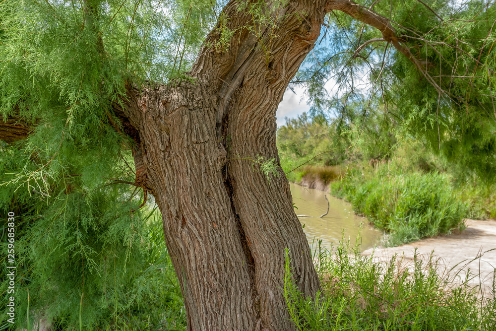 Regional Nature Park of the Camargue