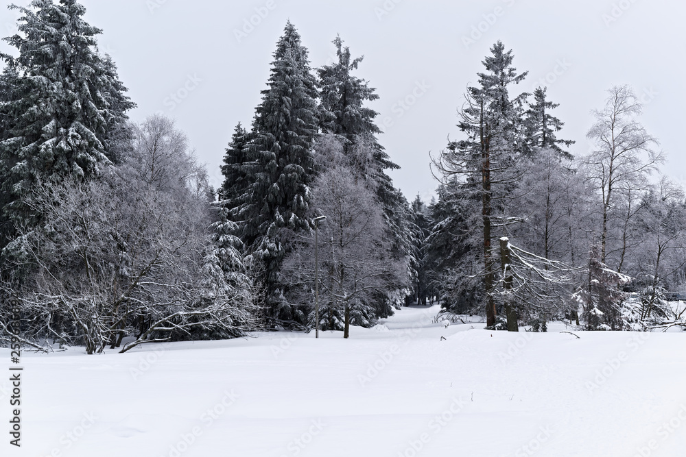 Winter landscape in Harz National park Winter landscape in Harz National park