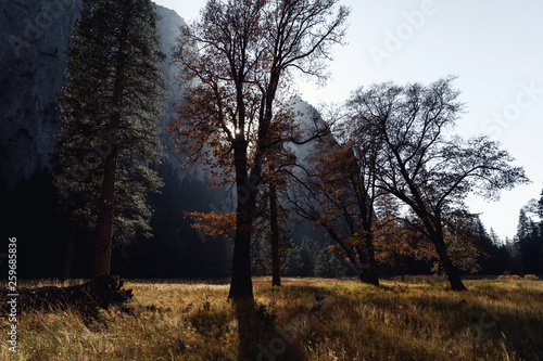 Canvas Print Afternoon autumn sun illuminates colorful foliage in Yosemite Valley, Yosemite N