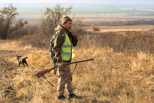 Hunters with a german drathaar and spaniel, pigeon hunting with dogs in reflective vests 