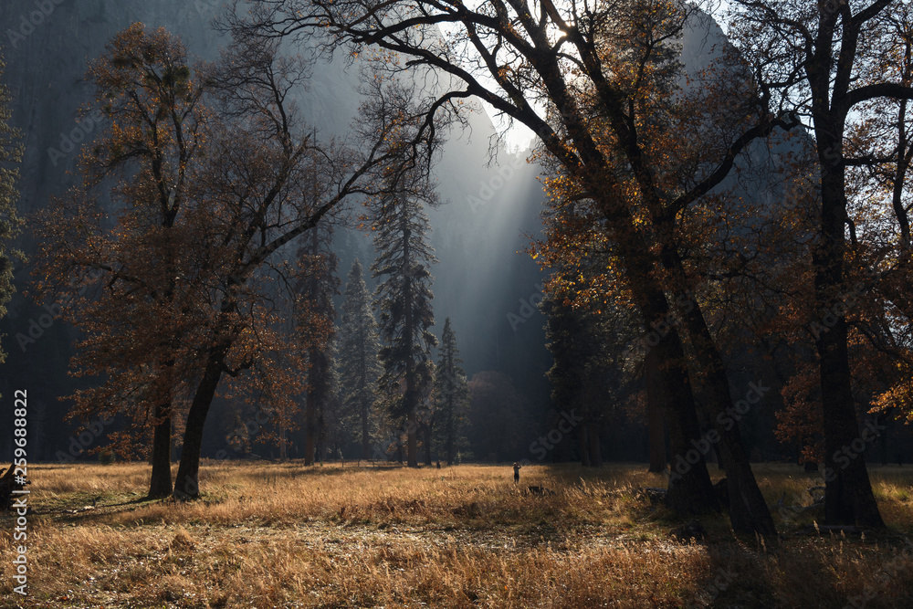 Ethereal autumn sun illuminates person immersed in colorful foliage in Yosemite Valley, Yosemite National Park Ethereal autumn sun illuminates person immersed in colorful foliage in Yosemite Valley, Yosemite National Park
