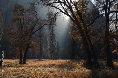 Canvas Print Ethereal autumn sun illuminates person immersed in colorful foliage in Yosemite