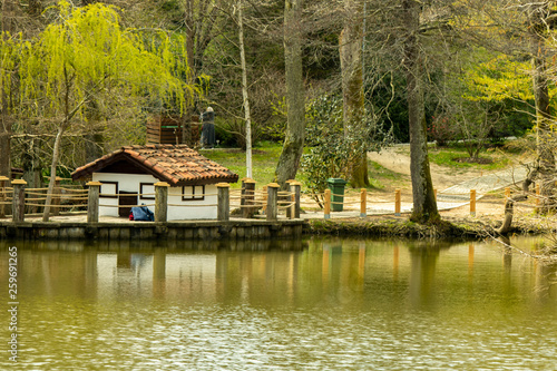 miniature house on the lake