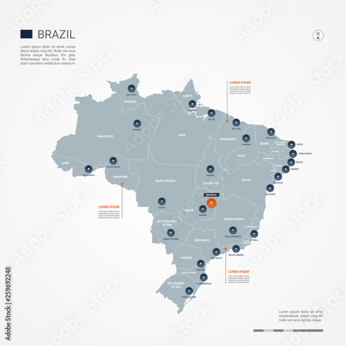 Brazil map with borders, cities, capital and administrative divisions. Infographic vector map. Editable layers clearly labeled.