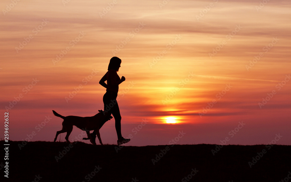 Silhouettes at sunset, girl and dog running against the backdrop of an incredible sunset, Belgian Shepherd Malinois