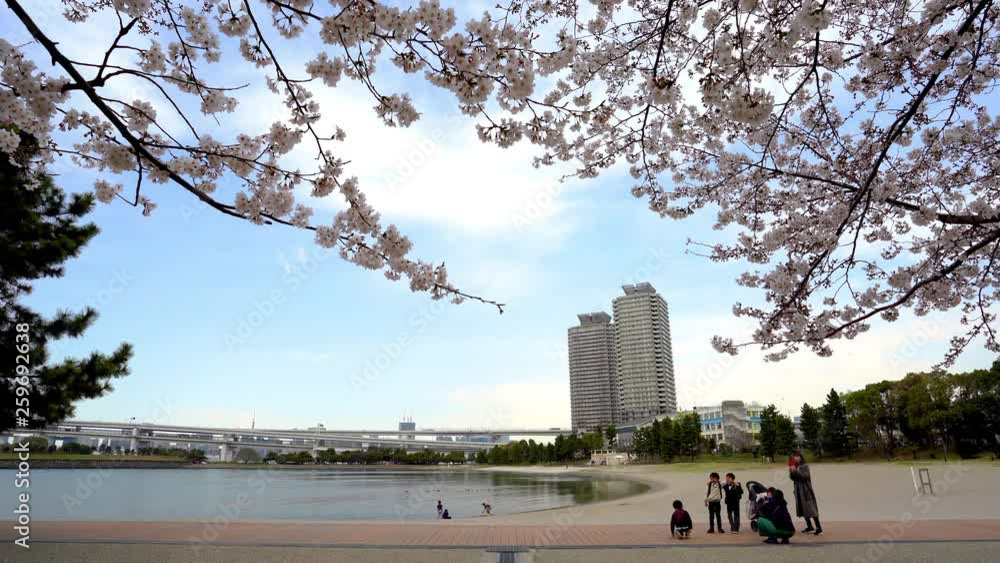 unidentified people resting at Odaiba beach park in Tokyo, Japan unidentified people resting at Odaiba beach park in Tokyo, Japan