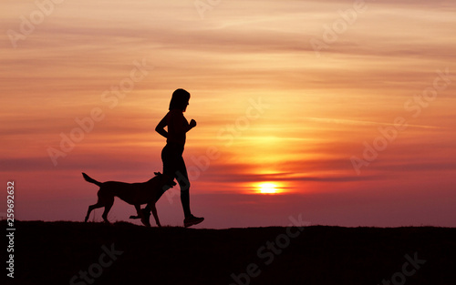 Silhouettes at sunset  girl and dog running against the backdrop of an incredible sunset  Belgian Shepherd Malinois