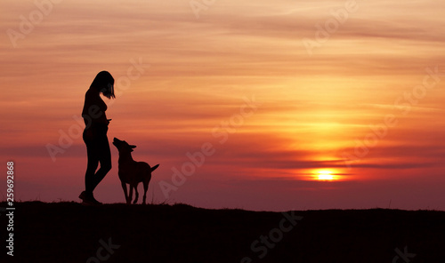 Silhouettes at sunset, girl and dog against the backdrop of an incredible sunset, Belgian Shepherd Malinois, hugging