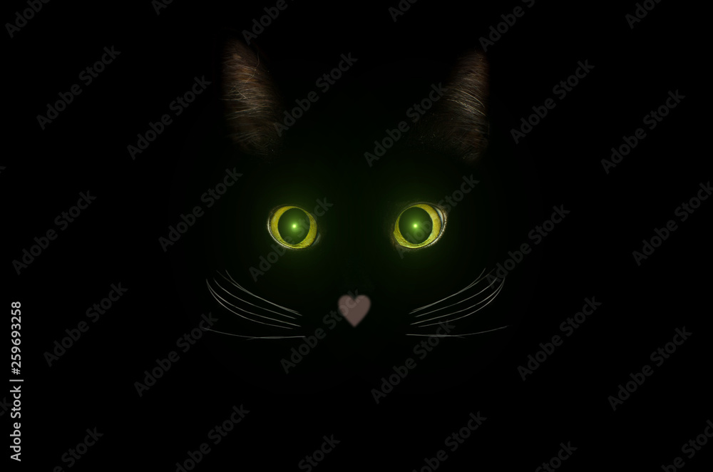 Cute black cat concept, dark mysterious style. Glowing cat eyes in the ...