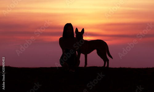 Silhouettes at sunset  girl and dog against the backdrop of an incredible sunset  Belgian Shepherd Malinois  hugging