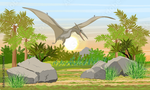 Flying reptile Pteranodon in the sky above prehistoric forest. Prehistoric animals and plants. Scene from Mesozoic or Jurassic period. Realistic Vector Landscape